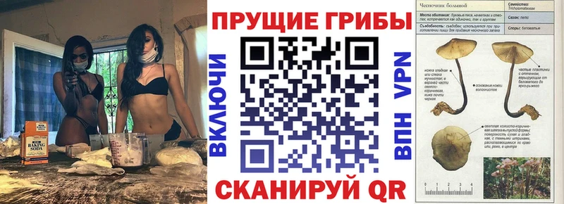 Псилоцибиновые грибы MAGIC MUSHROOMS  где найти наркотики  Орлов 